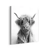 Schotse Hooglander - Koe - Badjas - Zwart wit aluminium wit klein -3d