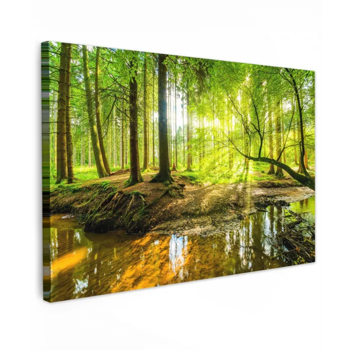 Zonnestralen in een groen bos Tuinposter op houten frame 2 cm dik klein -3d