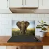 Olifant - Natuur - Gras - Dieren - Landschap keuken achterwand spatscherm klein -sfeer2
