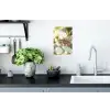 Bloesems - Zonlicht - Quote - Wit Muursticker klein -keuken