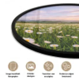 Madelief - Veld - Heuvels - Groen Fotolijst rond zonder passe partout klein -closeup_NL