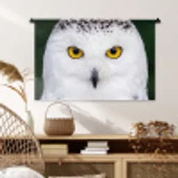 Sneeuwuil - Portret - Geel Wandkleed katoen middel -sfeer5