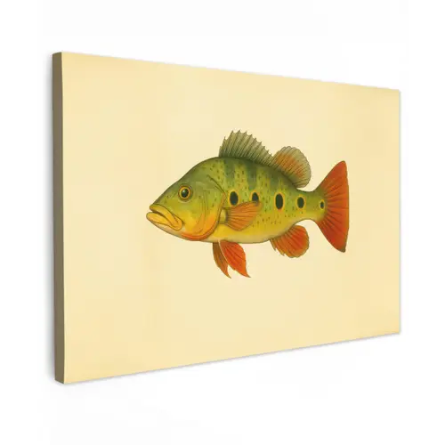 Schubben - Vis - Groen - Illustratie canvas 2cm klein -z3d