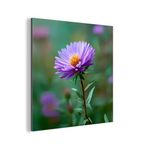Aster - Paars - Bloem - Blaadjes aluminium wit klein -3d