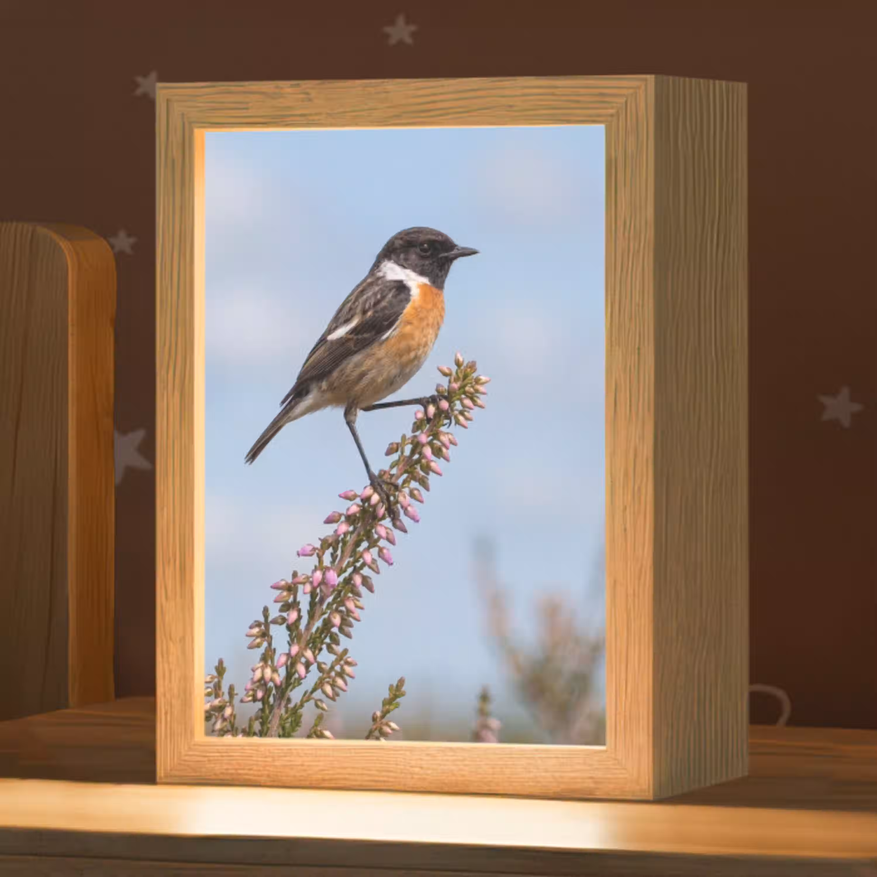 Roodborsttapuit - Heide - Paars - Natuur - Sfeervol Light Box met kabel (Kinderlampje) klein -zzz_3d_website