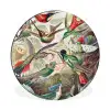 Kolibrie - Tuindecoratie - Vintage - Ernst Haeckel - Tuinposter Wandcirkel aluminium klein -3d