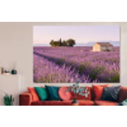 Lavendel - Landschap - Sereen - Paars forex 5mm xxl -woonkamer