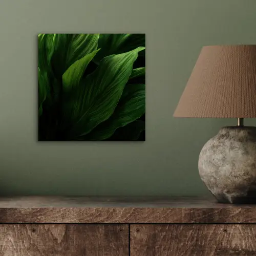 Bladeren - Schaduw - Groen - Textuur aluminium wit klein -sfeer2