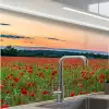 Klaprozen - Landschap - Rood - Bloemen keuken achterwand 2 middel -zzzz3d_schuin