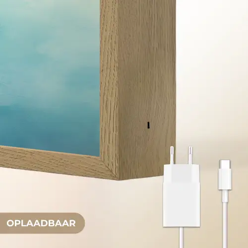 Waterplanten - Vissen - Kleurrijk - Water Light Box met batterij (Wandlamp) middel -USP_websiteoplaadbaarNL