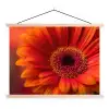 Oranje - Gerbera - Intens textielposter latten blank klein -3d