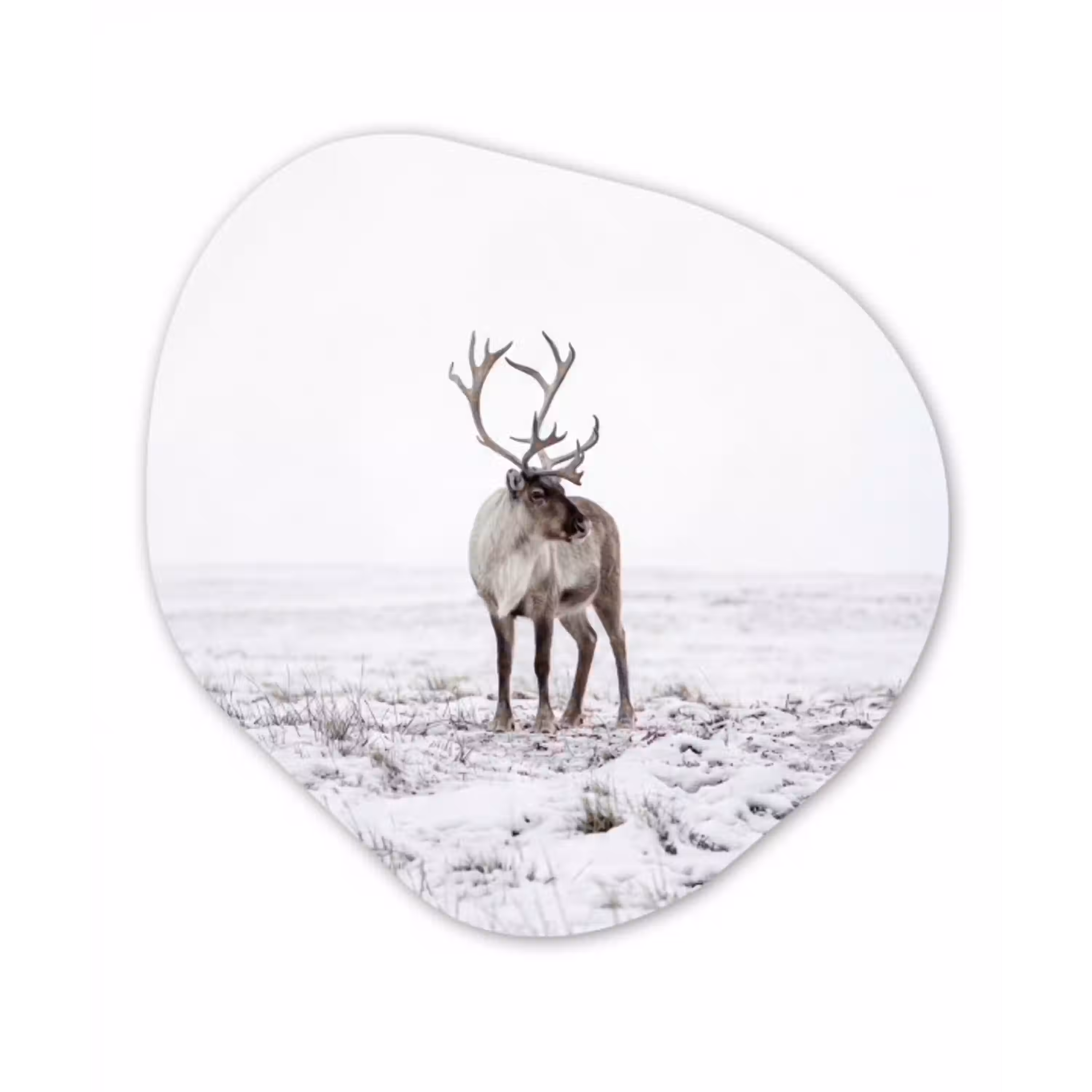 Rendier - Gewei - Sneeuw - Winter Wandcirkel Organisch Aluminium middel -3d