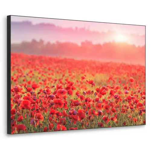 Bloemen - Klaprozen - Rood - Bloemenveld Textielframe - compleet frame klein -3d