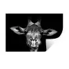 Giraffe - Portret - Dieren - Zwart - Wit Muursticker klein -3d