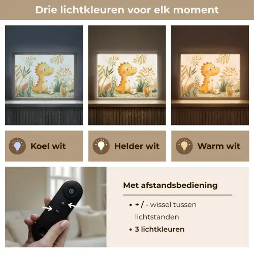Dino - Voetbal - Oranje Light Box met batterij (Wandlamp kind) middel -USP_lichtkleurNL