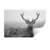 Hert - Mistig - Zwart - Wit Muursticker klein -3d