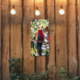 Papegaai - Vogels - Boom tuinposter los doek klein -sfeer1