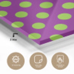Stippen - Klassiek - Groen plexiglas 5mm klein 11 -sfeer2
