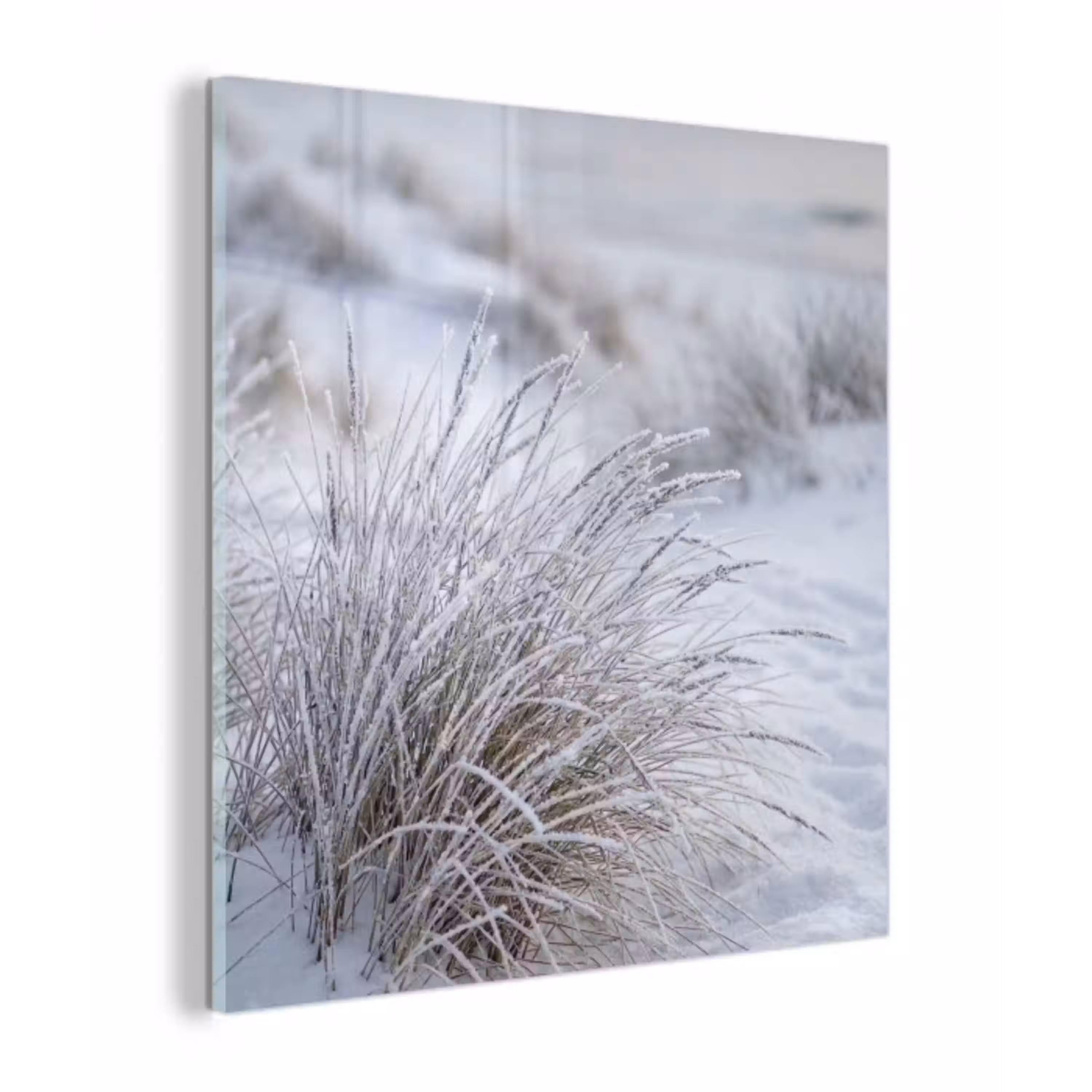 Duinen - Sneeuw - Strand - Winter - Serene plexiglas 5mm klein -z3d