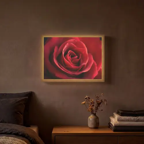 Rood - Roos - Romantisch Light Box met batterij (Wandlamp) middel -sfeer4