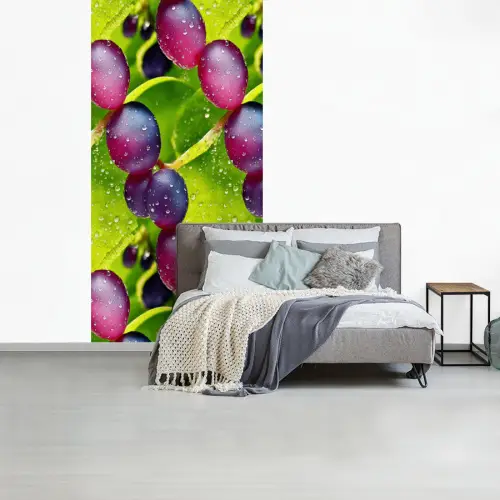 Bessen - Paars - Groen - Dauw fotobehang vinyl groot 64 -slaapkamer