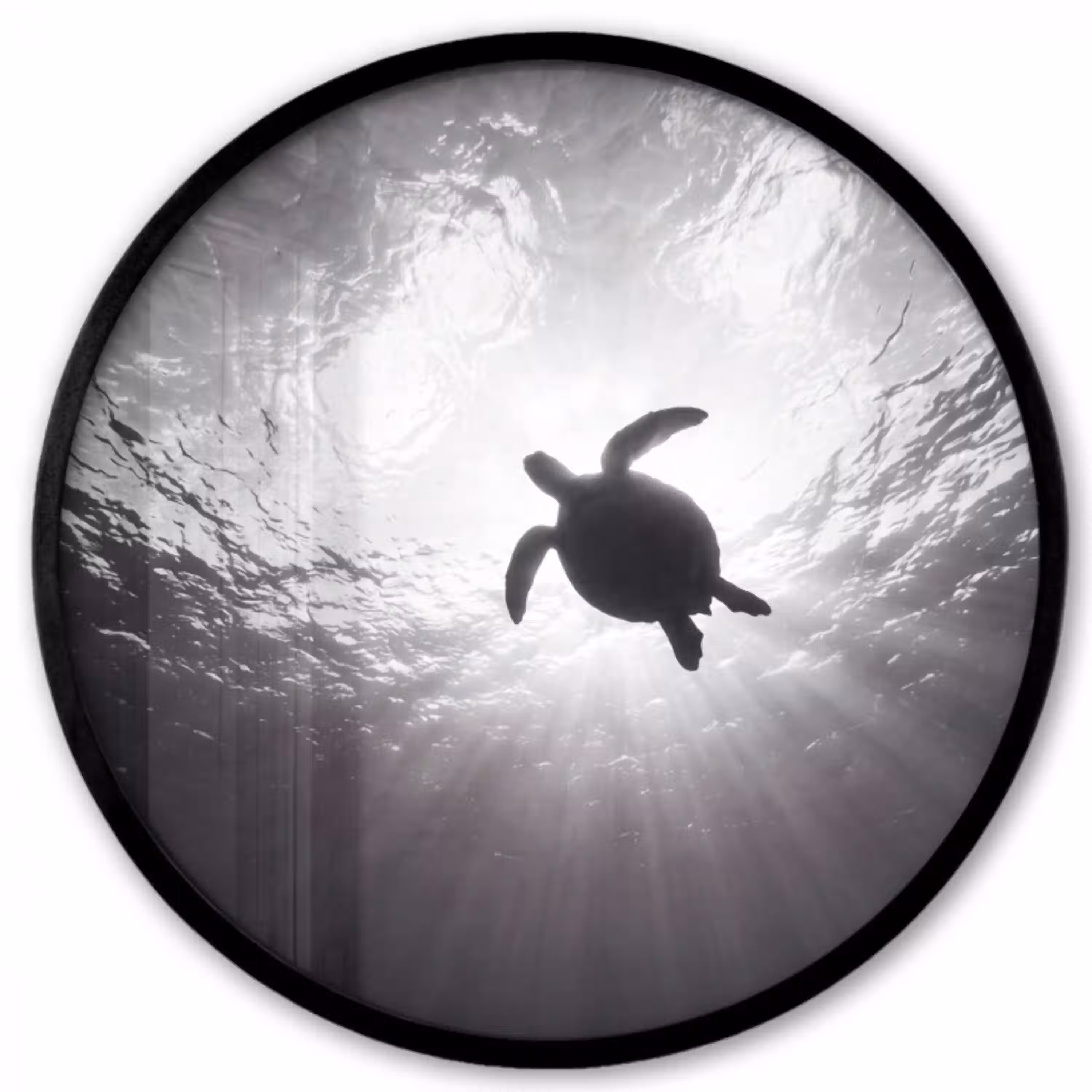 Schildpad - Onderwater - Lichtstralen - Oceaan - Zwart-wit Fotolijst rond zonder passe partout klein -3d