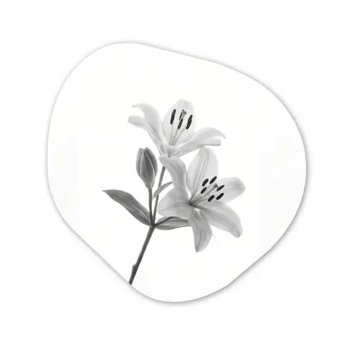 Lelies - Elegant - Zwart - Wit Wandcirkel Organisch Aluminium middel -3d