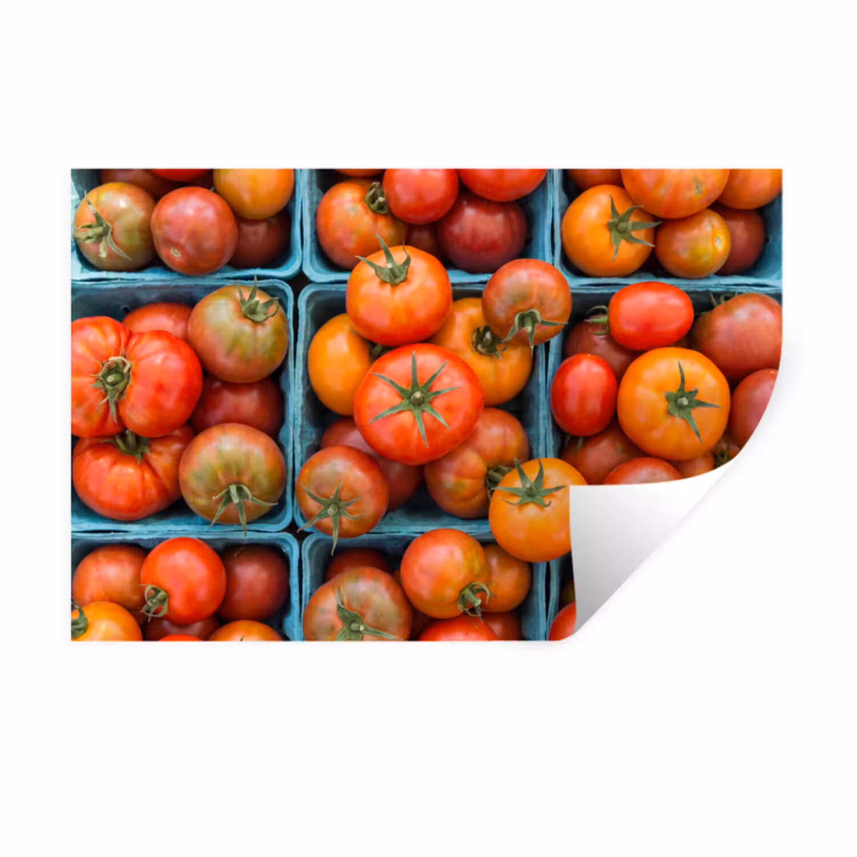 Tomaten - Eten - Kleurrijk Muursticker klein -3d