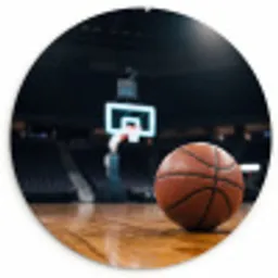 Basketbal - Arena - Sport Wandcirkel kunststof plaat 5mm dik klein -3d