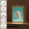 Hamster - Wortel - Blauw Light Box met kabel klein -USP_NL