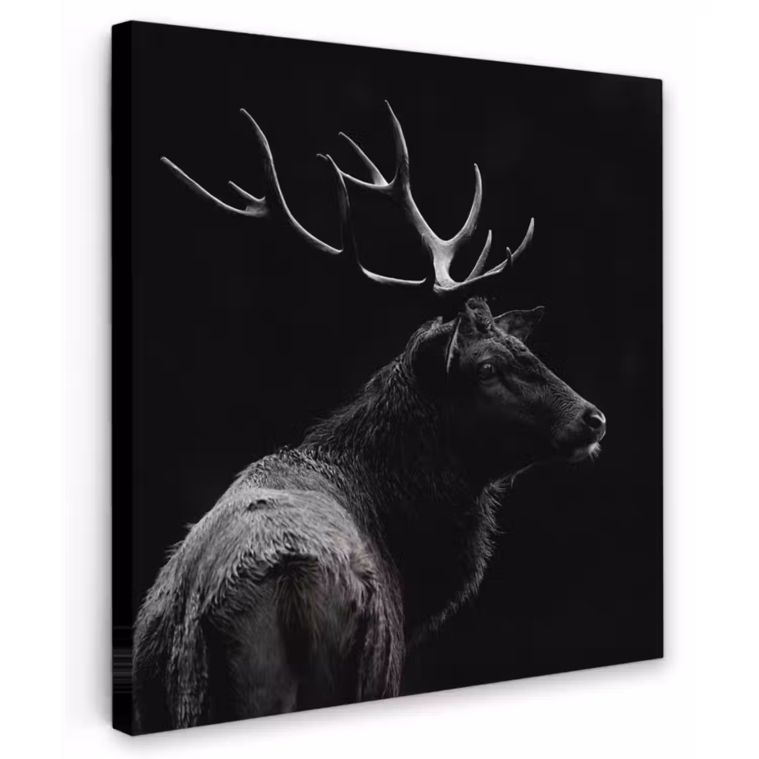 Canvas schilderij - Hert - Zwart - Wit - Gewei