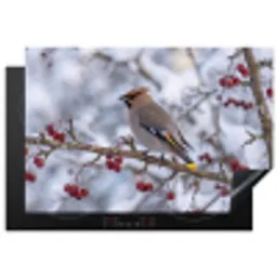 Pestvogel - Bessen - Winter - Natuur Inductie beschermer vinyl 3mm klein -3d