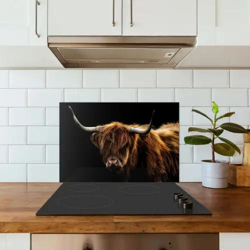 Schotse Hooglander - Horens - Zwart - Dieren - Natuur - Wild - Koe keuken achterwand spatscherm klein -sfeer2