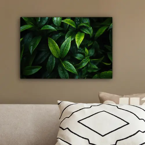 Bladeren - Regendruppels - Licht - Groen canvas 2cm klein -sfeer3