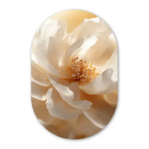 Close up - Pioenroos - Wit Wandcirkel Ovaal Glas middel -3d