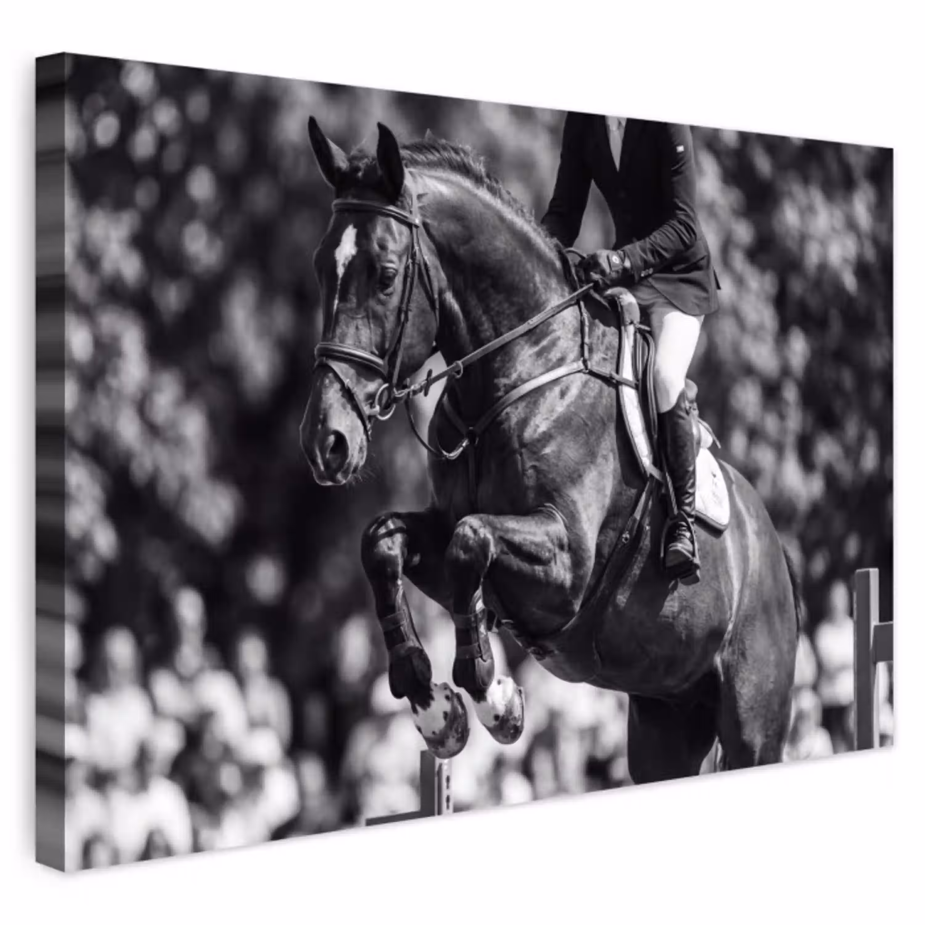 Springen - Paard - Zwart - Wit Tuinposter op houten frame 2 cm dik klein -3d