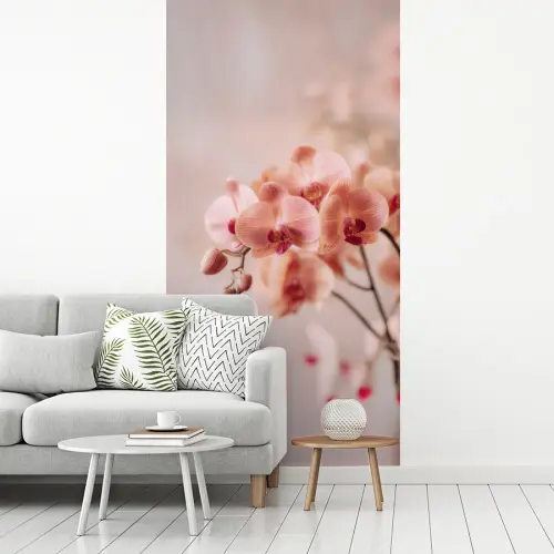Orchidee - Bloemen - Roze - Bloemblaadjes fotobehang vinyl groot -woonkamer