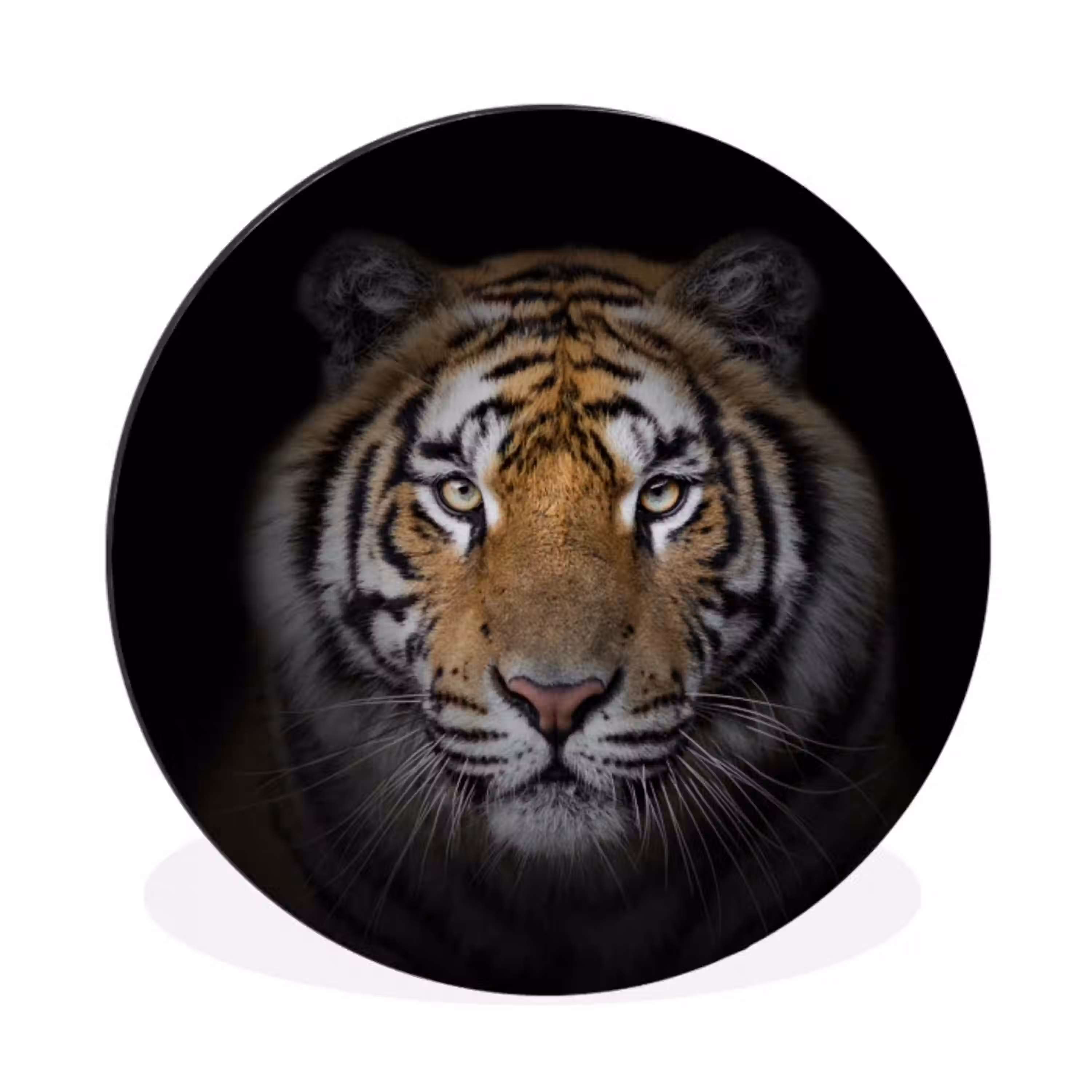 Tijger - Wilde dieren - Portret - Zwart - Dieren Wandcirkel aluminium klein -3d
