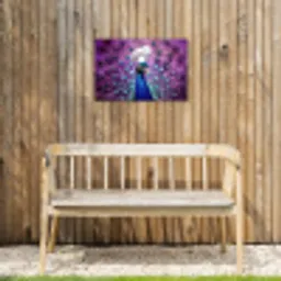 Pauw - Koksmuts - Cool - Paars Tuinposter op houten frame 2 cm dik klein -sfeer4
