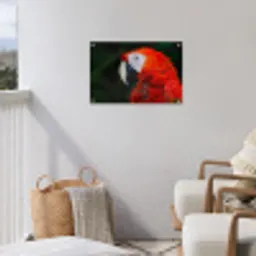 Dieren - Vogel - Papegaai tuinposter los doek klein -sfeer8