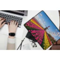 Tulpen - Holland - Molen - Kleurrijk laptophoes neopreen klein -bureau