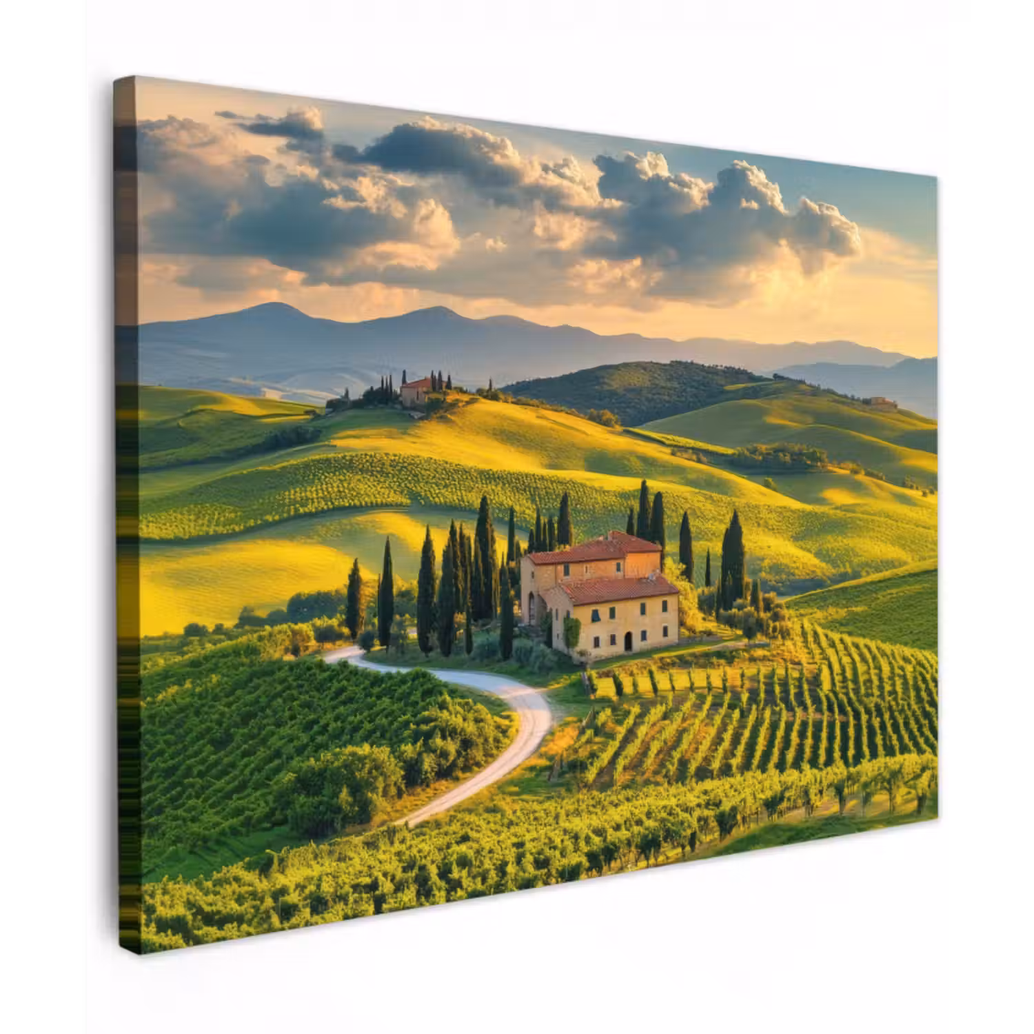 Leinwandbild - Toskana - Landschaft - Weinberge