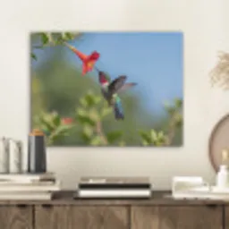 Kolibrie - Bloem - Natuur - Groen PET vilt klein -sfeer1
