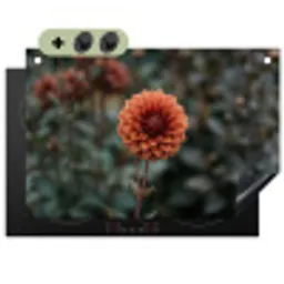 Dahlia - Bloem - Natuur - Sfeervol Inductie beschemer met haakjes klein -3d