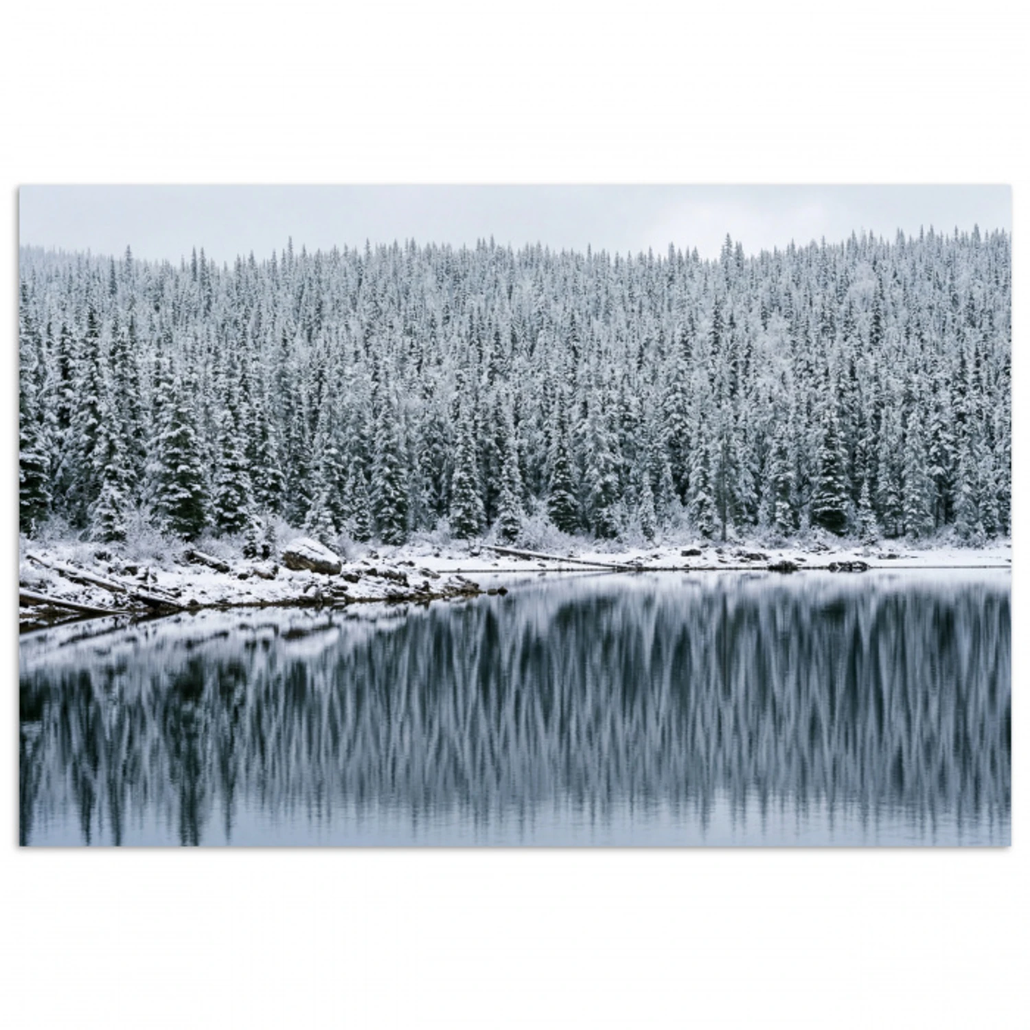 Bos - Reflectie - Meer - Winter - Serene poster papier klein -3d