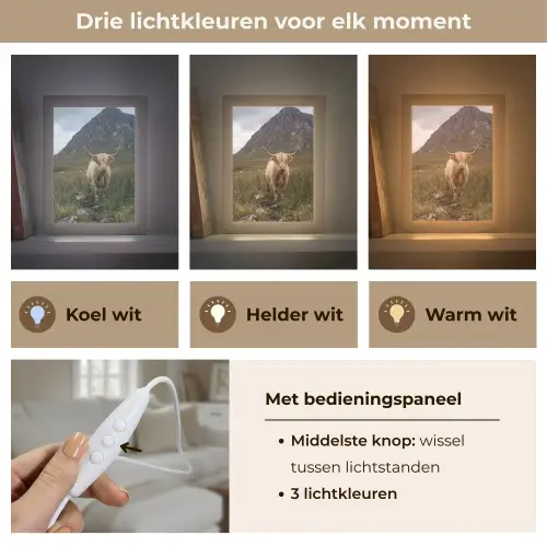 Schotse hooglander - Bergen - Grasveld Light Box met kabel (Tafellamp) klein -USP_lichtkleurNL