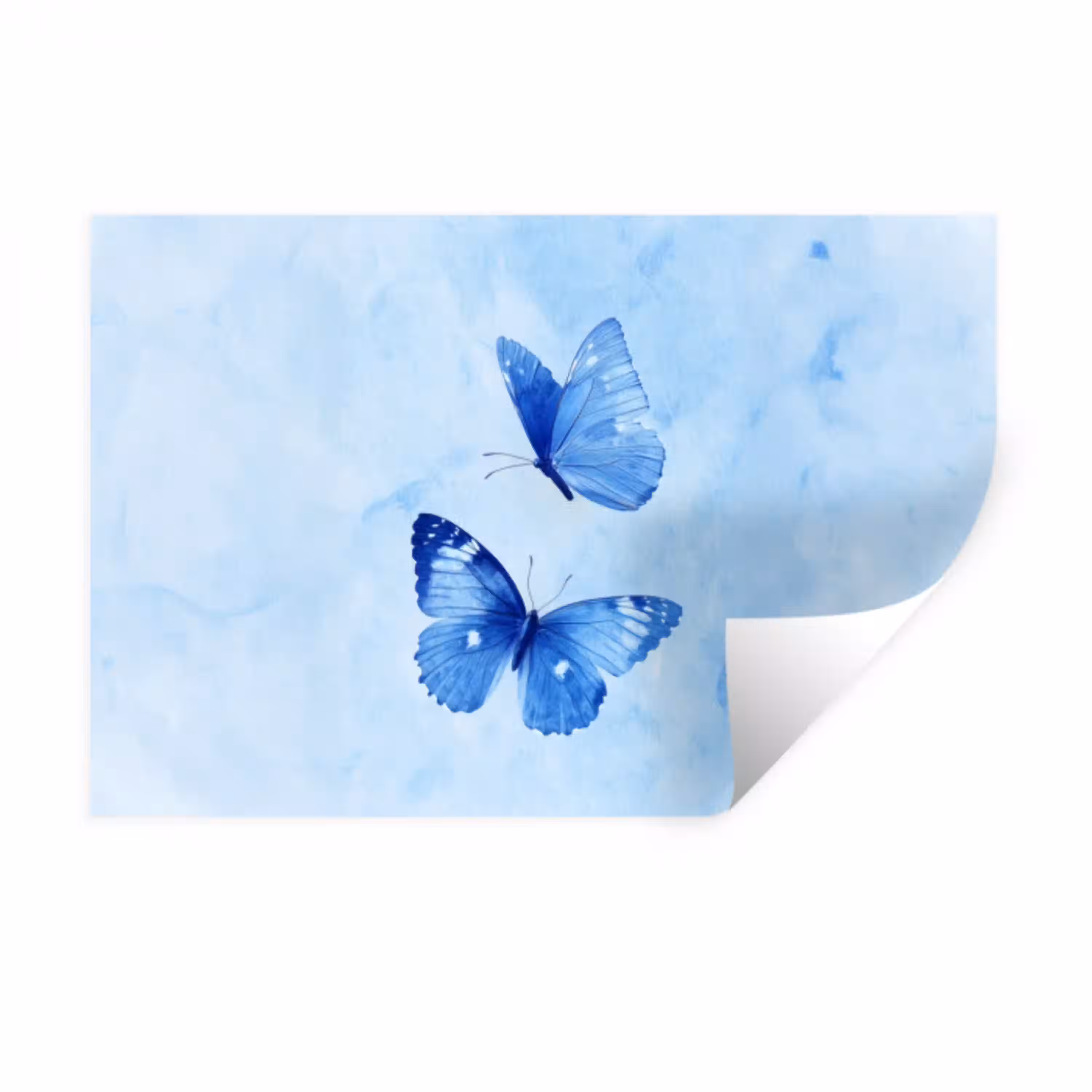 Vlinders - Sierlijk - Blauw Muursticker klein -3d