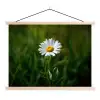 Wit - Madeliefje - Bloem - Gras textielposter latten blank klein -3d