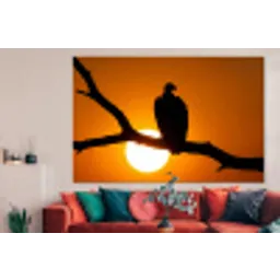 Gier - Tak - Zon - Oranje forex 5mm xxl -woonkamer