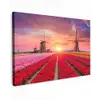 Tulpenvelden met windmolens bij zonsondergang Tuinposter op houten frame 2 cm dik klein -3d